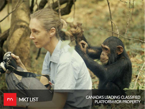 Jane Goodall's Life with Chimpanzees Highlighted in a New Documentary!